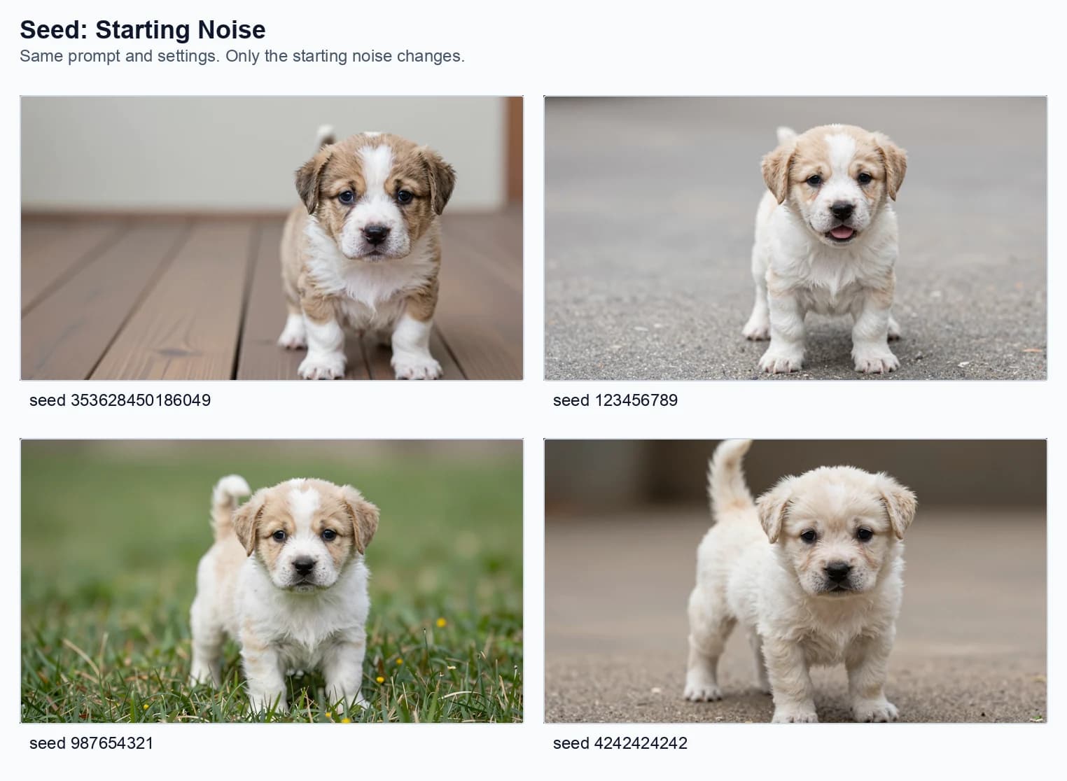 Four generated puppy images comparing different random seeds