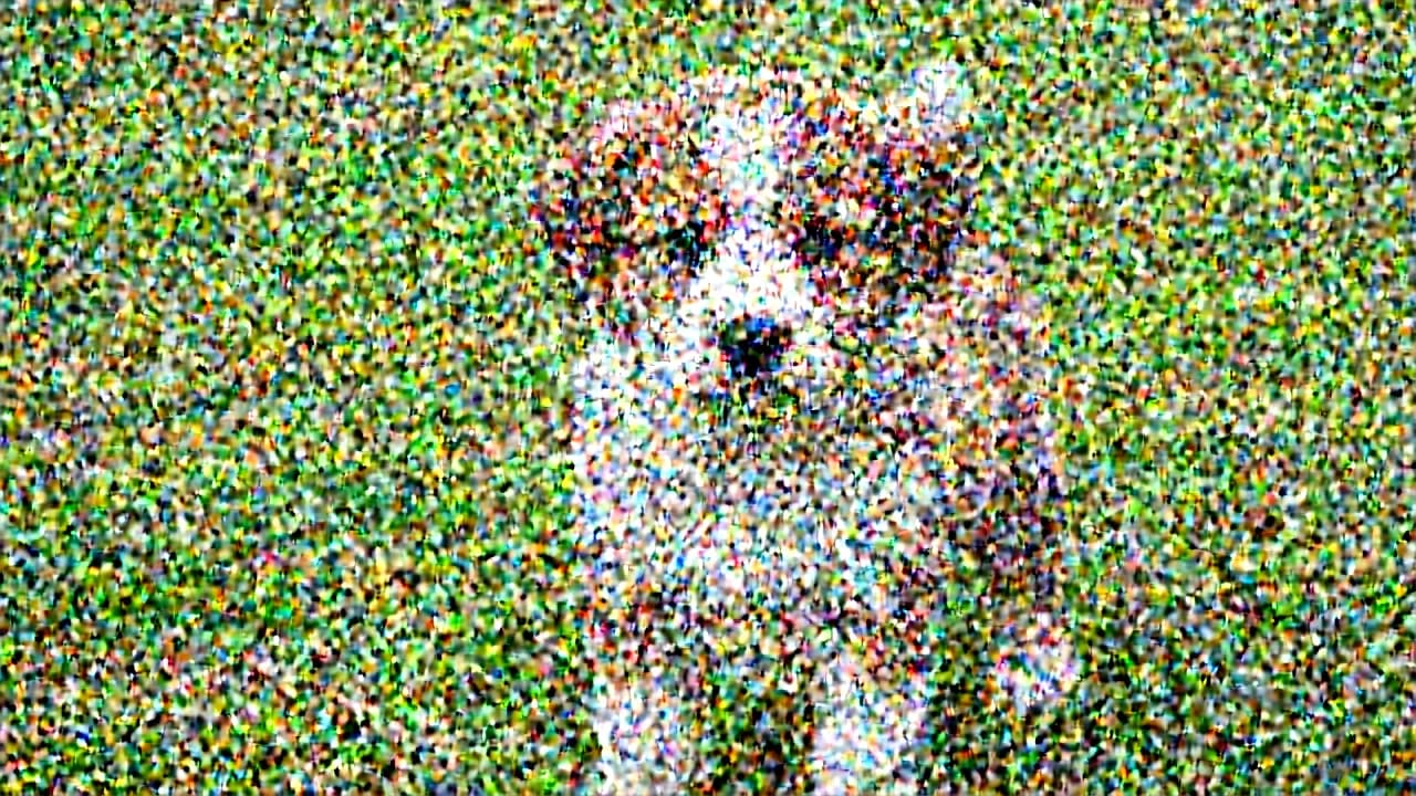 Decoded Z-Image-Turbo latent after five of nine denoising steps, with a puppy silhouette emerging