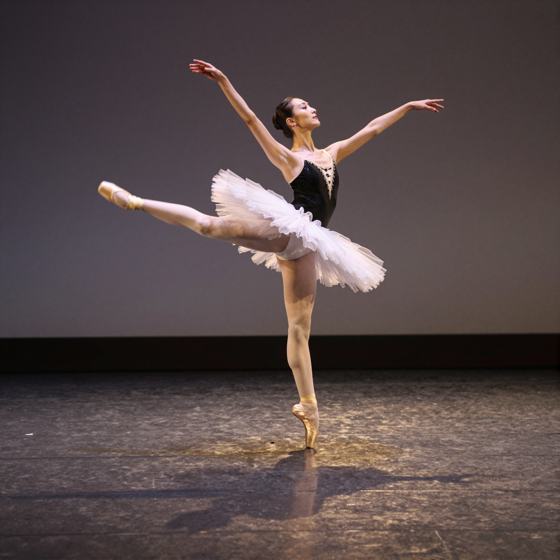 Reference: Ballet Leap Freeze Frame Motion